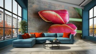 Two red tulips on a wooden surface. Wall mural