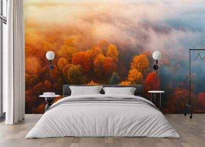 Aerial view of beautiful colorful autumn forest in low clouds at sunrise. Top view of orange and green trees in fog at dawn in fall. View from above of woods. Nature background. Multicolored leaves Wall mural