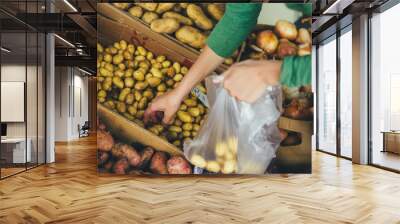 woman puts their hands in plastic bag new potatoes from the box on the market Wall mural