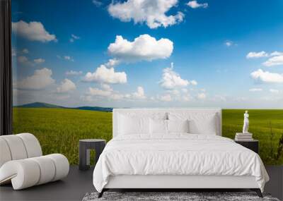 green field and blue sky Wall mural