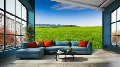 Green field and blue sky Wall mural