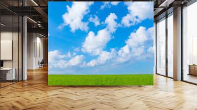 Landscape green field and blue sky Wall mural