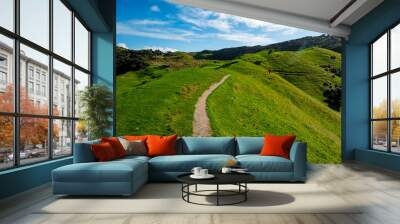 Beautiful green meadow mountain with blue sky. Wall mural