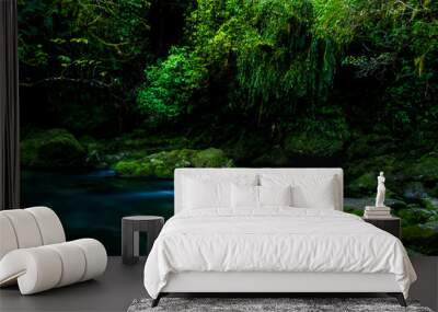 Beautiful greenery nature and stream of the rainforest. Wall mural