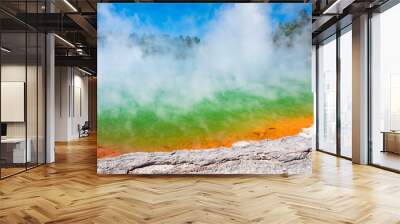 Beautiful scenery of thermal land, Rotorua, North Island,  New Zealand. Wall mural