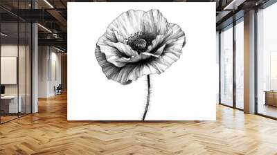 Detailed black and white illustration of a poppy flower for artistic and memorial day design elements Wall mural