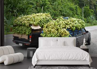 Bananas on a car body, pick-up, agricultural cargo, bunches of bananas for sale at the market, Panama Wall mural