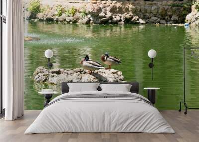 Waterfowl in lakes Maria Luisa Park in the Andalusian capital, Sevilla in Spain Wall mural