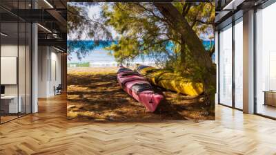 Zwei Paddelboote unter Bäumen am Strand der griechischen Kykladeninsel Tinos Wall mural