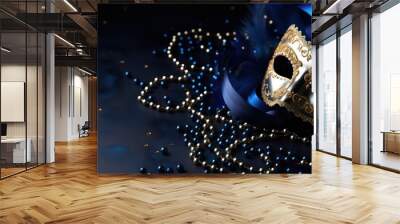 venetian carnival mask, blue with gold  texture and feather decoration ,closeup  Wall mural