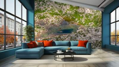 Seven Triglav lakes valley in Julian alps, Slovenia Wall mural