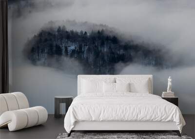 Small hill looking through morning mist, near Bohinj lake Wall mural