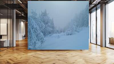 Winter time in Bohinj mountains with mist Wall mural