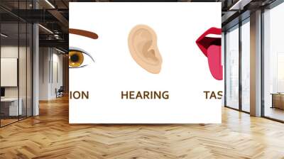 Five human senses icons set. Cartoon design nose, eye, hand, ear and mouth. Vector illustration. Wall mural