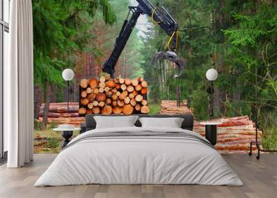 Lumberjack with modern harvester working in a forest. Wood as a source renewable energy.  Wall mural