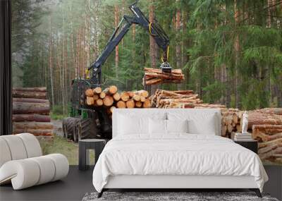 The harvester working in a forest. Harvest of timber. Firewood as a renewable energy source. Agriculture and forestry theme.
 Wall mural