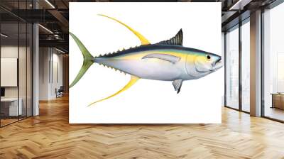 Yellow fin Tuna (Thunnus albacares) isolated on white background. Wall mural