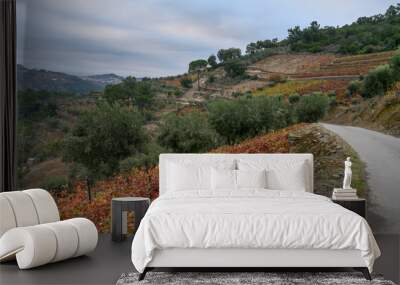 Scenic view of landscape, Peso da R�gua, Vila Real, Douro Valley, Portugal Wall mural