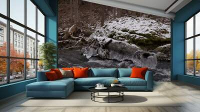 smooth motion of wild water in a river in winter with snow and ice on rocks and stones in the beautiful nature of a forest Wall mural