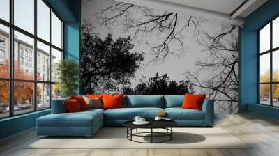 silhouette of trees Wall mural