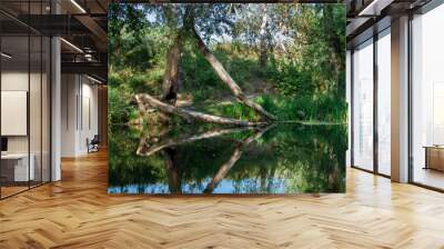 river among the trees Wall mural