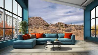 Joshua Tree National Park, CA, USA - January 31, 2022: Sandy dry desert landscape with 2 brown stone hills under blue cloudscape and bushes and cacti in front. Wall mural