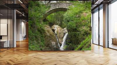 Lake District, England - May 30, 2012: A stone bow bridge links the two sides of a ravine with waterfall in a forest. Lots of green foliage and white water streaming over brown rocks Wall mural