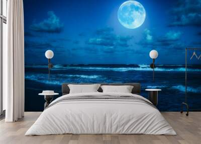 Beach at midnight with a full moon Wall mural