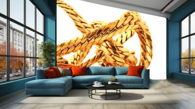 gold chain details Wall mural