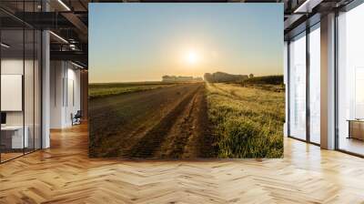 A sunlit field with a dirt road in the foreground Wall mural