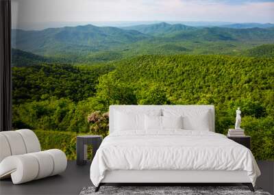 Blue Ridge Mountain Overlook Wall mural