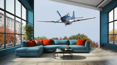 P-51 Mustang Fighter Airplane Wall mural