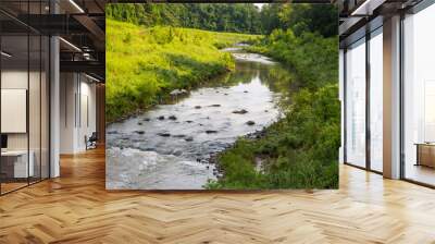 Restored Urban Stream with Great Blue Heron Wall mural