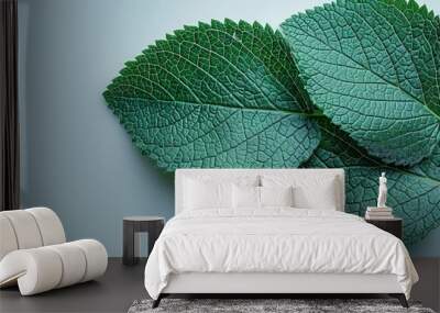 A close-up of fresh green leaf with visible texture, green leaf texture closeup Wall mural