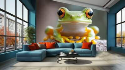 Curious Amphibian: A vibrant tree frog perches serenely, its captivating gaze drawing you into the lush rainforest world it inhabits.  Wall mural