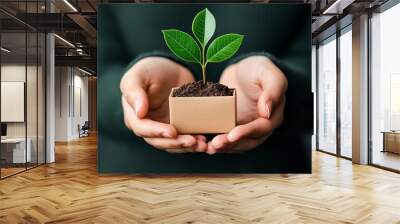 Nurturing New Growth: Hands gently cradle a small plant in a cardboard box, symbolizing sustainable practices and environmental care.   Wall mural