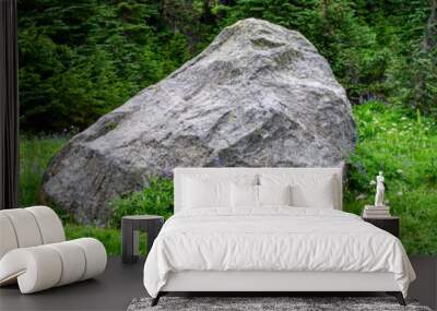 Broadleaf Lupine blooming against a large rock in al alpine meadow, Paradise area at Mt. Rainier national park
 Wall mural