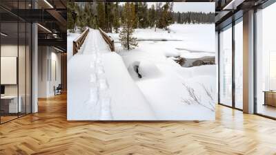 Snowshoe tracks on a bridge in a winter forest Wall mural