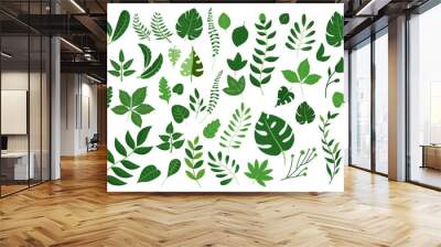 Green leaves big vector collection - Set of graphical elements with various leaf designs in different shapes and sizes. Flat design with white background Wall mural