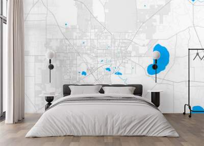 Rich detailed vector map of Gainesville, Florida, USA Wall mural