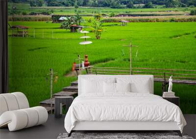 Rice field in Pua district Wall mural