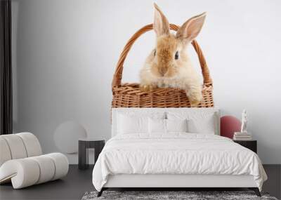 Easter bunny rabbit in basket with colorful eggs Wall mural