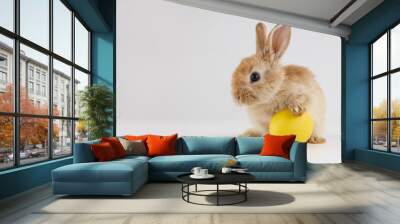 Easter bunny rabbit with egg on gray background Wall mural