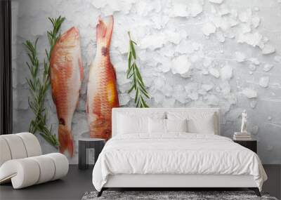 Fresh red mullet fish with lemon and rosemary on icy stone background Wall mural