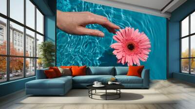 Hand gently touching a pink gerbera daisy floating on clear blue water Wall mural