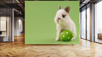 White baby bunny rabbit with green painted polka-dotted egg on green background. Easter holiday concept. Wall mural