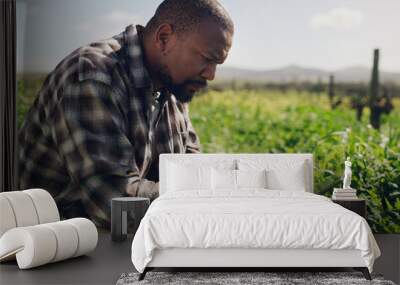 Farm, tablet and a black man on a field for research in agriculture, sustainability or a crop during spring. Internet, technology and a male farmer working in the countryside for the harvest season Wall mural