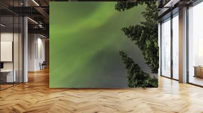 Northern lights in the spruce forest Wall mural