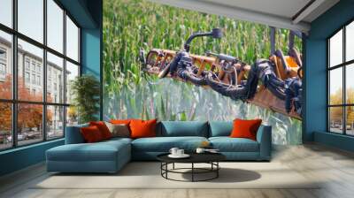 Corn Spraying Wall mural