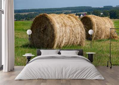 dry hay rolls in a rural field on a summer day, harvesting, preparation of fodder for livestock Wall mural